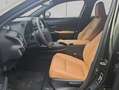 Lexus UX 250h 250h F-Sport Design Grün - thumbnail 9