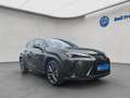 Lexus UX 250h 250h F-Sport Design Grün - thumbnail 7