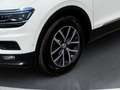 Volkswagen Tiguan 1,4 TSI Allsp Weiß - thumbnail 8