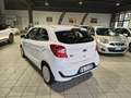 Ford Ka/Ka+ 1.2 85CV Ultimate NEOPATENTATI Blanc - thumbnail 5