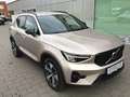 Volvo XC40 B3 (Benzin) Plus Dark Cam Navi Grau - thumbnail 4