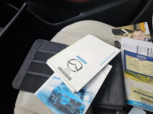 Mazda CX-3 view 19