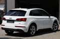 Audi Q5 40 TDI quattro S line/PANO/VIRTUAL/MATRIX/HUD Blanc - thumbnail 5