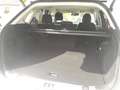Ford Edge 2,0 TDCi Titanium 4x4 Start/Stop Powershift A Weiß - thumbnail 12