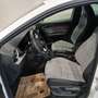 SEAT Ibiza 1.0 TSI 70 kW FR Weiß - thumbnail 6