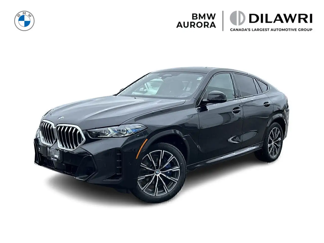 2026 BMW X6