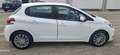 Peugeot 208 208 I 2015 5p 1.2 puretech Allure gpl 82cv Blanc - thumbnail 13