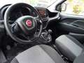 Fiat Doblo Doblò Basis Maxi Kasten-Euro 6 Scheckh. Blau - thumbnail 9