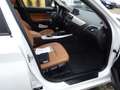 BMW 118 Bmw 118i Euro6 Tüv neu! Service neu! Leder Alu Bianco - thumbnail 14