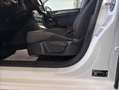 Volkswagen Golf R abbit TDI BMT*NEUES-PICKERL3/2027*MOD2016 Weiß - thumbnail 15