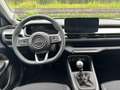 Jeep Avenger 1.2 turbo Summit fwd 100cv Weiß - thumbnail 14