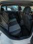 SEAT Leon 1.9TDI Sport Limited Weiß - thumbnail 9