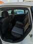 SEAT Leon 1.9TDI Sport Limited Weiß - thumbnail 7