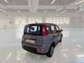 Fiat Panda 1.0 HYBRID MY23 - thumbnail 4