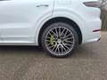 Porsche Cayenne e-Hybrid-Coupe-Platinum Edition mit vielen Extras Weiß - thumbnail 12