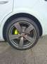 Porsche Cayenne e-Hybrid-Coupe-Platinum Edition mit vielen Extras Weiß - thumbnail 10