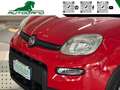 Fiat Panda 1.0 FireFly S&S Hybrid Sport Rosso - thumbnail 10