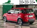 Fiat Panda 1.0 FireFly S&S Hybrid Sport Rosso - thumbnail 3