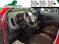 Fiat Panda 1.0 FireFly S&S Hybrid Sport Rosso - thumbnail 5