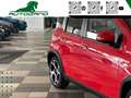 Fiat Panda 1.0 FireFly S&S Hybrid Sport Rosso - thumbnail 15