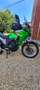 Kawasaki Versys-X 300 Grün - thumbnail 23
