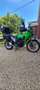 Kawasaki Versys-X 300 Grün - thumbnail 20