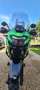 Kawasaki Versys-X 300 Grün - thumbnail 2