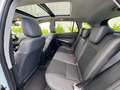 Suzuki S-Cross 1.4 HYBRID flash Weiß - thumbnail 8