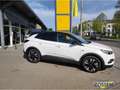 Opel Grandland Eleg. 1.5 D Navi+Kamera+LED+El. Heckk. Weiß - thumbnail 3