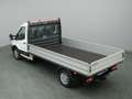Ford Transit Pritsche EK 350 L3 Trend 130PS -36%* Blanc - thumbnail 19