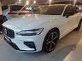 Volvo V60 Plus Dark B4 FWD - ACC,Harman/Kardon Weiß - thumbnail 1