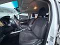Nissan Navara Navara 2.3 dci N-Connecta 4wd 190cv mai incidenti Blanc - thumbnail 5