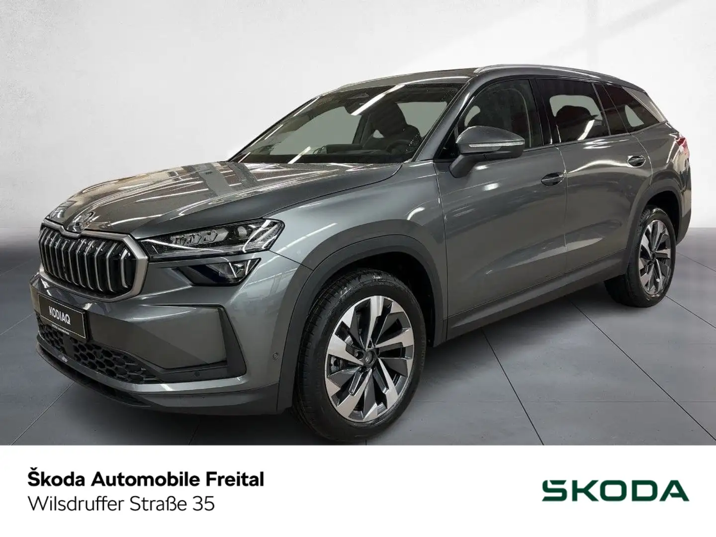 Skoda Kodiaq Selection 2,0 TDI DSG 4x4 AHZV STANDHEIZ. Grau - 1