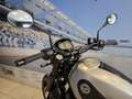 Benelli Leoncino 500 - Trail - Km 27000 - thumbnail 12