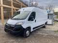 Opel Movano L3H2 2.2 BlueHDi 140 S&S Cargo Edition 3.5t Weiß - thumbnail 1