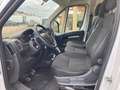 Opel Movano L3H2 2.2 BlueHDi 140 S&S Cargo Edition 3.5t Weiß - thumbnail 5