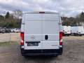 Opel Movano L3H2 2.2 BlueHDi 140 S&S Cargo Edition 3.5t Weiß - thumbnail 12
