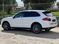 Porsche Cayenne Cayenne 3.0 V6 tdi 245cv tiptronic White - thumbnail 3