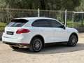 Porsche Cayenne Cayenne 3.0 V6 tdi 245cv tiptronic Blanc - thumbnail 13