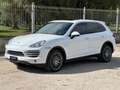 Porsche Cayenne Cayenne 3.0 V6 tdi 245cv tiptronic bijela - thumbnail 2