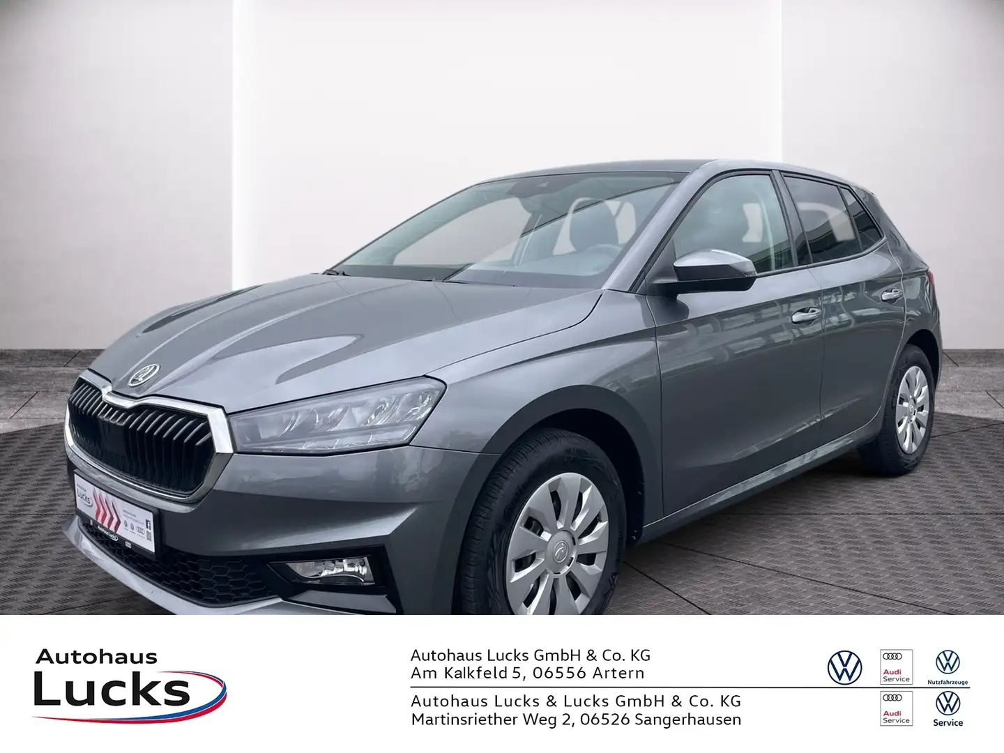 Skoda Fabia 1.0 TSI Selection LED BEH.-LENKR SMARTLINK Grau - 1