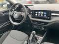 Skoda Fabia 1.0 TSI Selection LED BEH.-LENKR SMARTLINK Grau - thumbnail 13