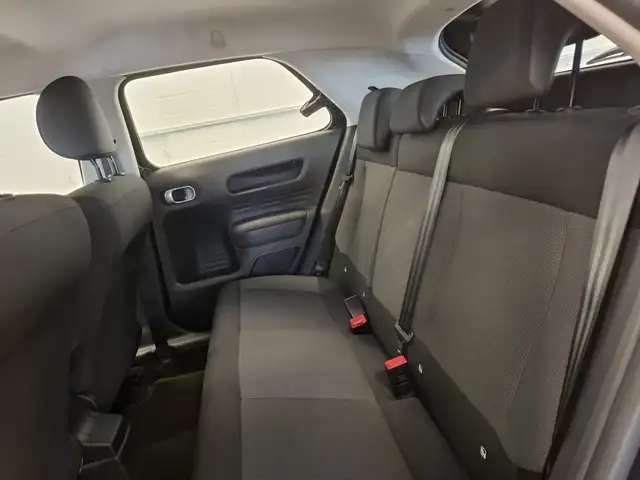 Citroen C4 Cactus view 12