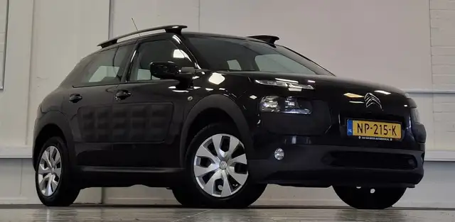 Citroen C4 Cactus view 2