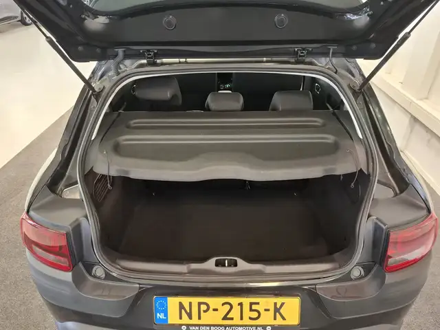 Citroen C4 Cactus view 13