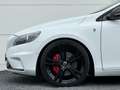 Volvo V40 2.0 D4 Ocean Race Org NL R-Design Carbon Edit Came Blanc - thumbnail 13