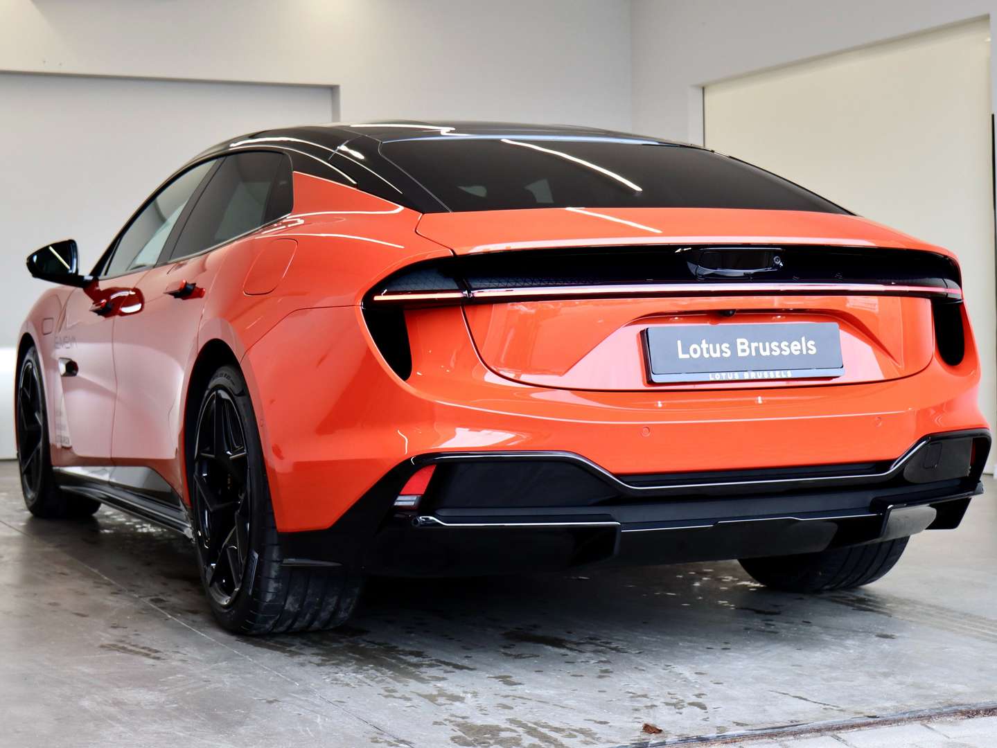 Lotus Emeya -  - Joinsteer - #5