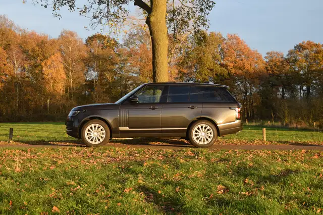 Land Rover Range Rover Vogue 3.0 TDV6 HSE - Carpathian Grey  79.990km Y18