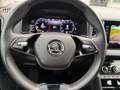 Skoda Karoq Style 1.5 TSI DSG Rückfahrkamera, Sitzheiz. Zwart - thumbnail 21