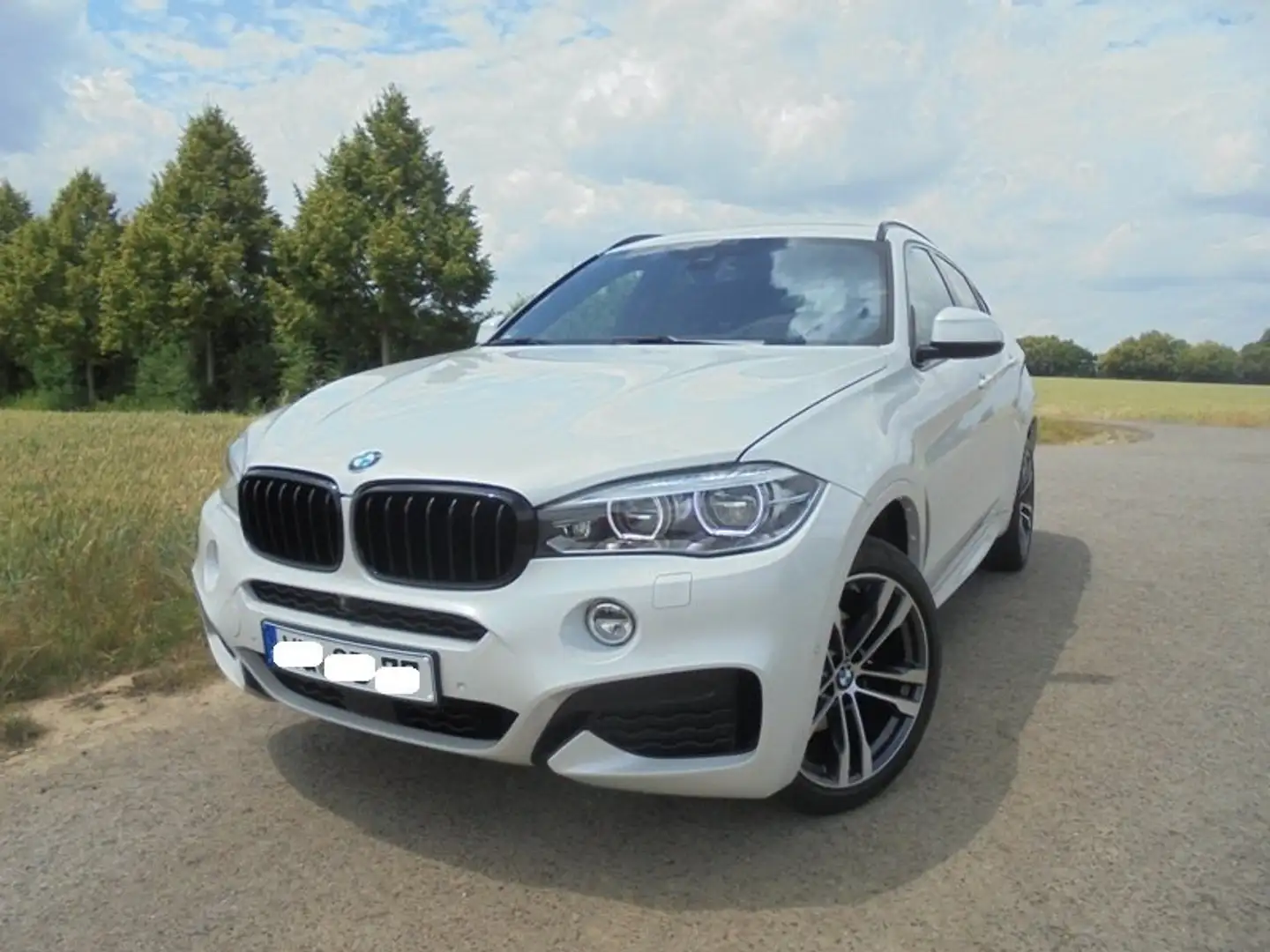 BMW X6 xDrive30d M-AUSTATTUNG- VOLL;S/HEFT VOLL BMW Weiß - 1